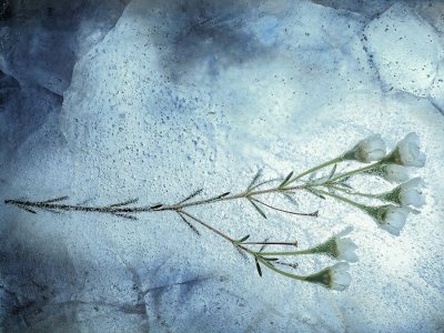 Kryonik Einfrieren Und Auf Bessere Zeiten Warten Qiio Magazin - 