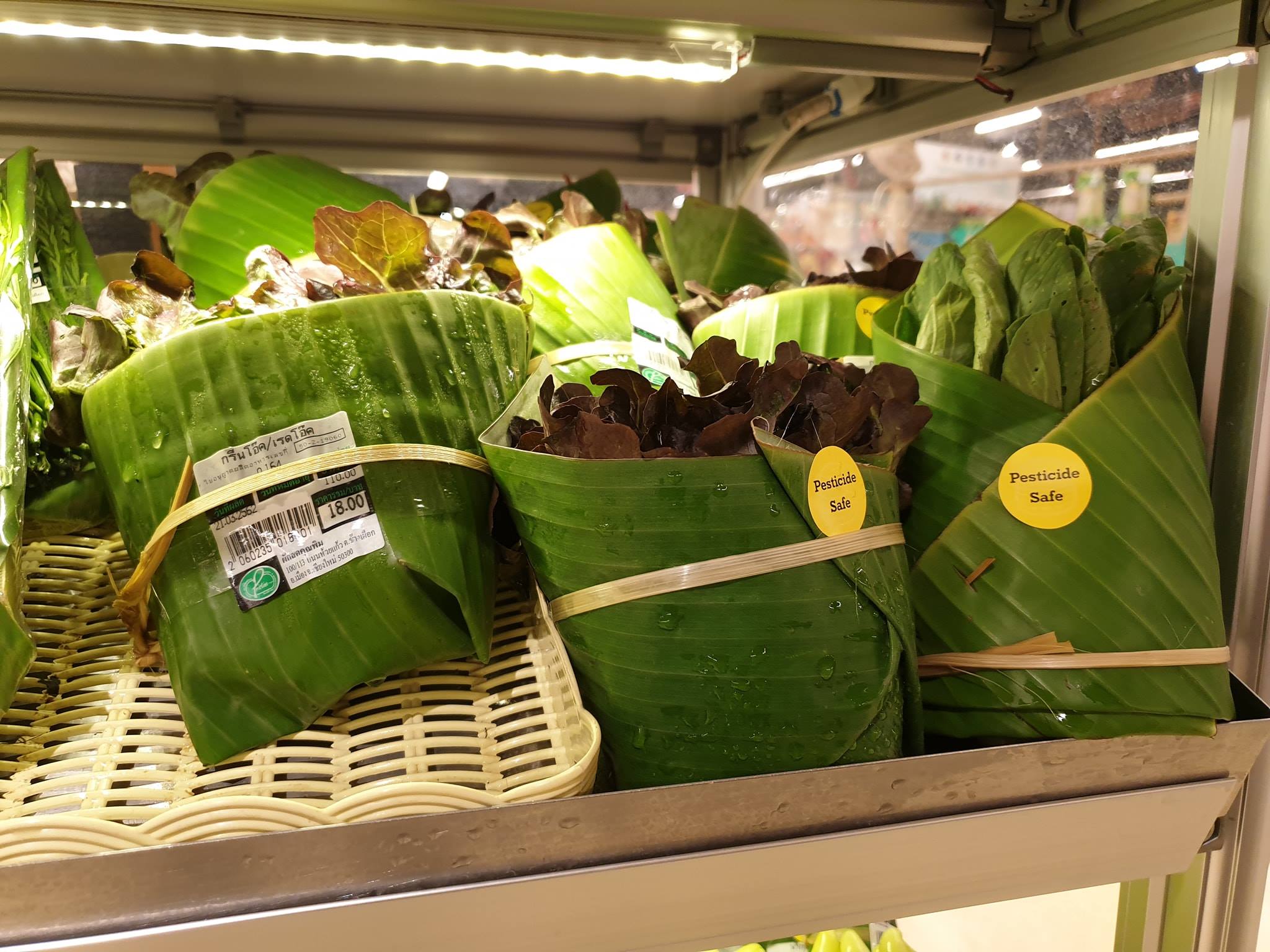 weniger Plastikmüll durch Bananenblätter