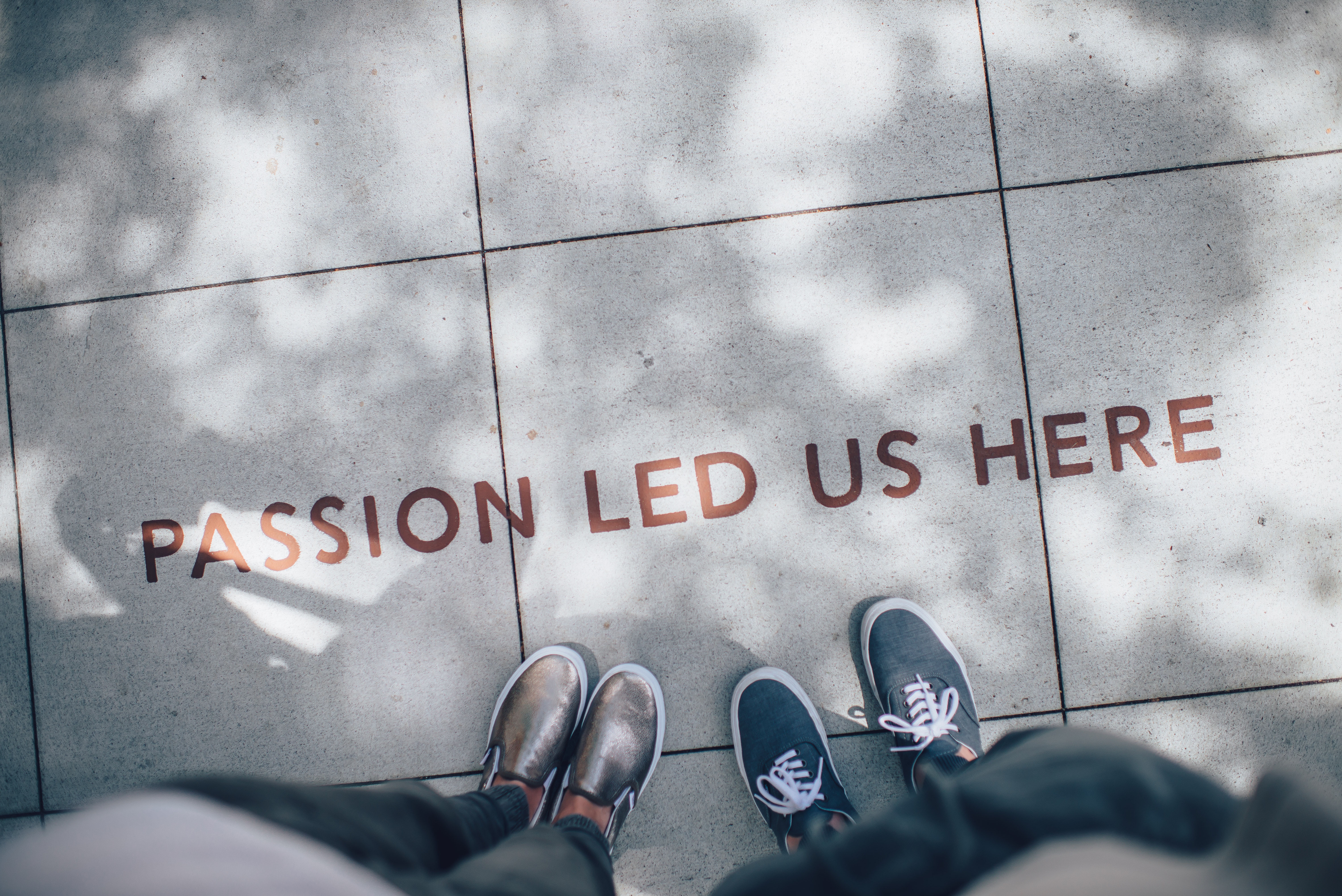 Passion led us here Quote Boardwalk