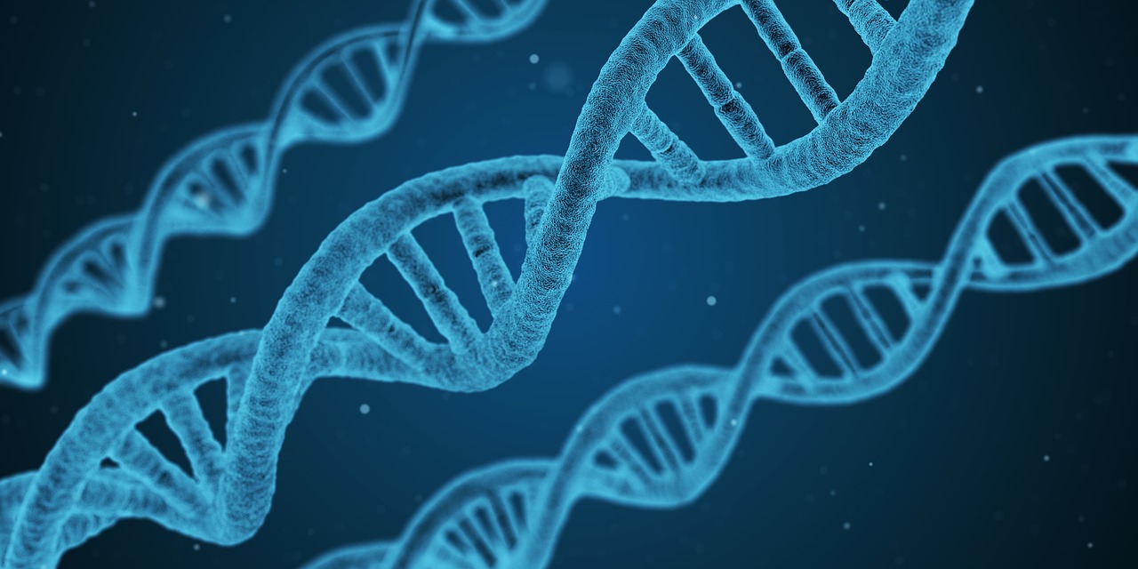 DNA Genforschung